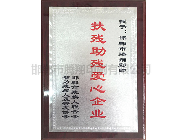扶殘助殘愛心企業